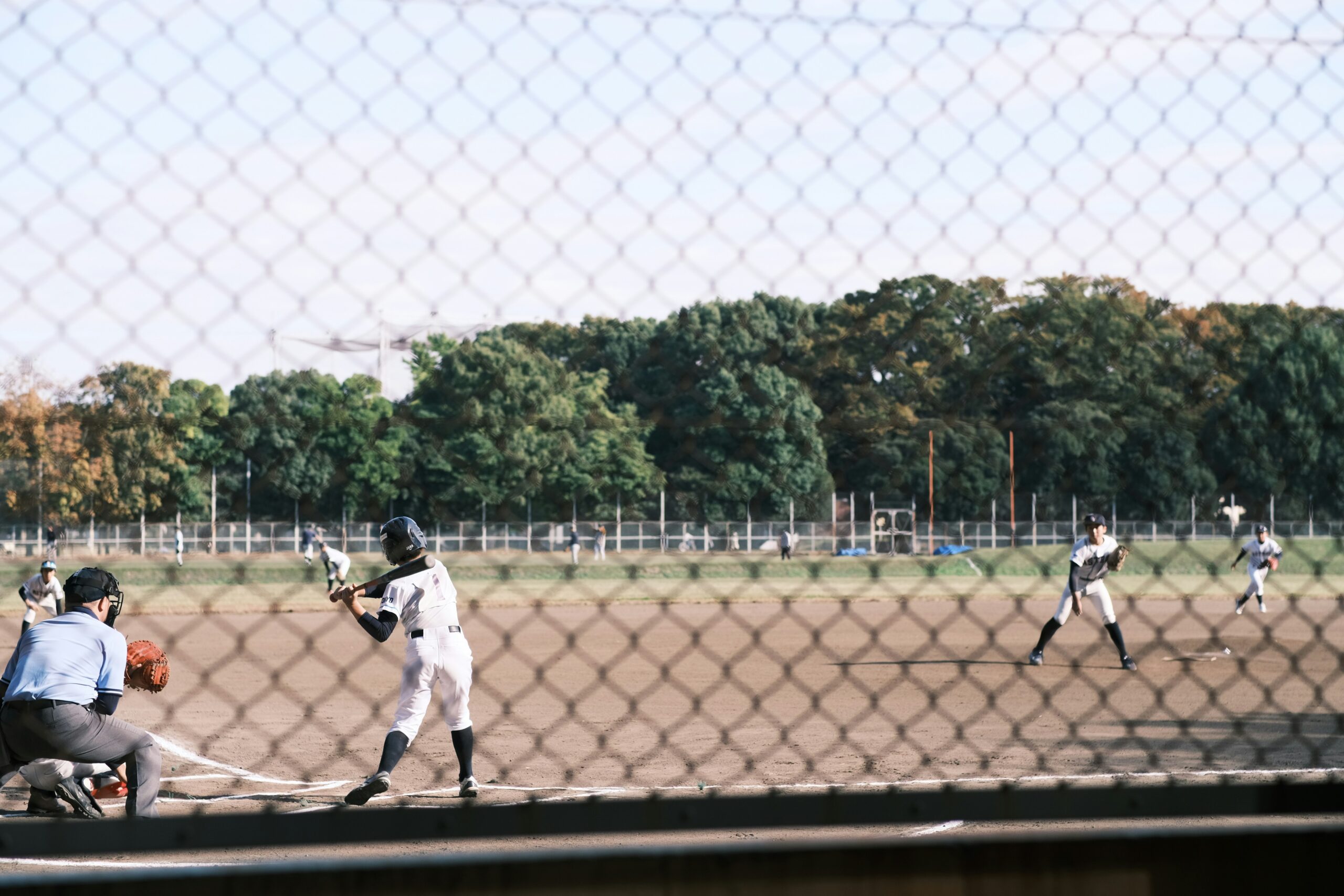 Travel Baseball