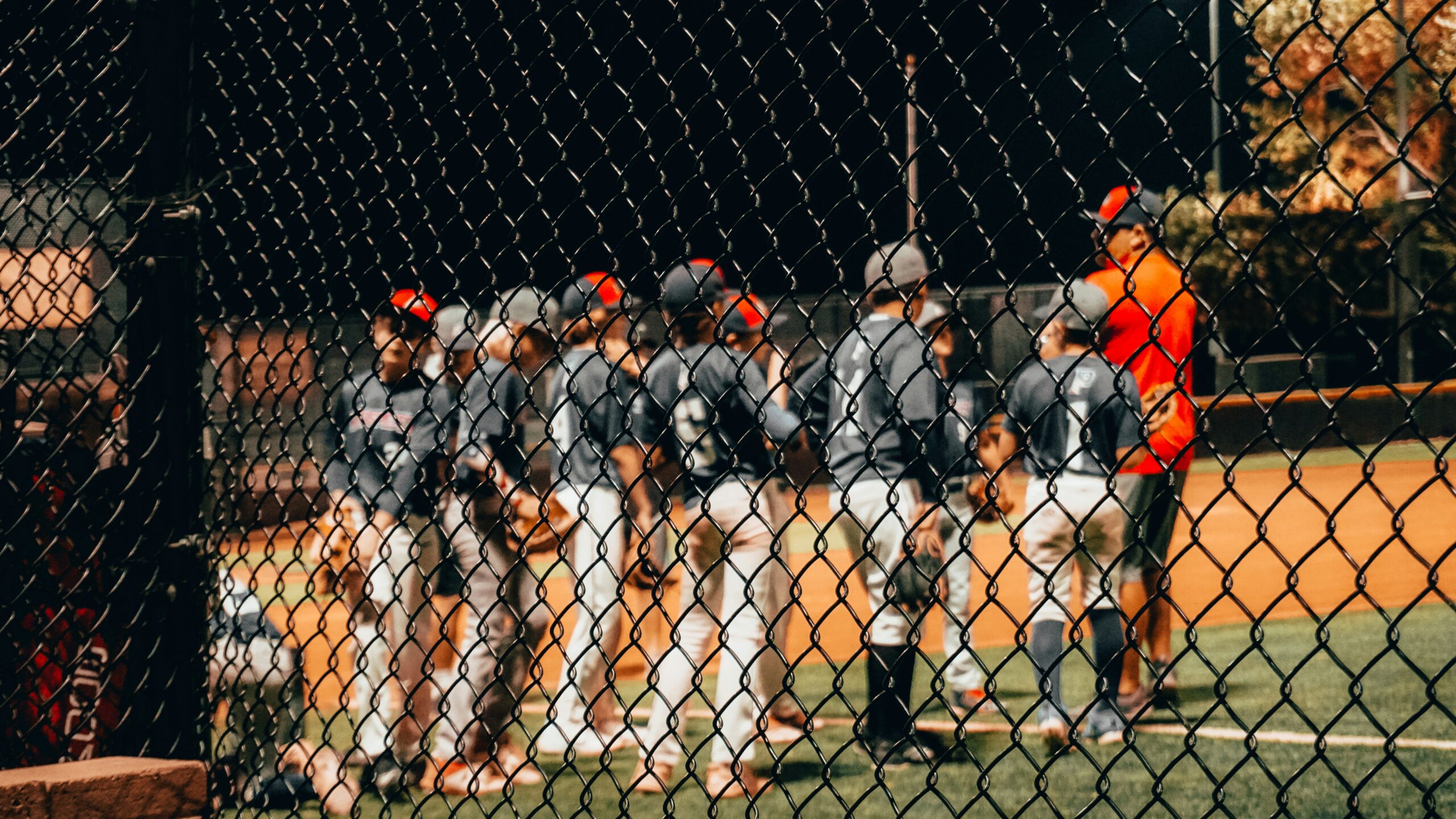 baseball coaching guide